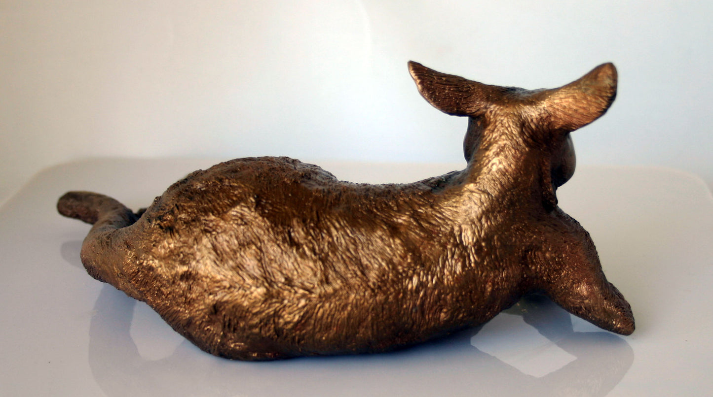 KANGAROO LAYING