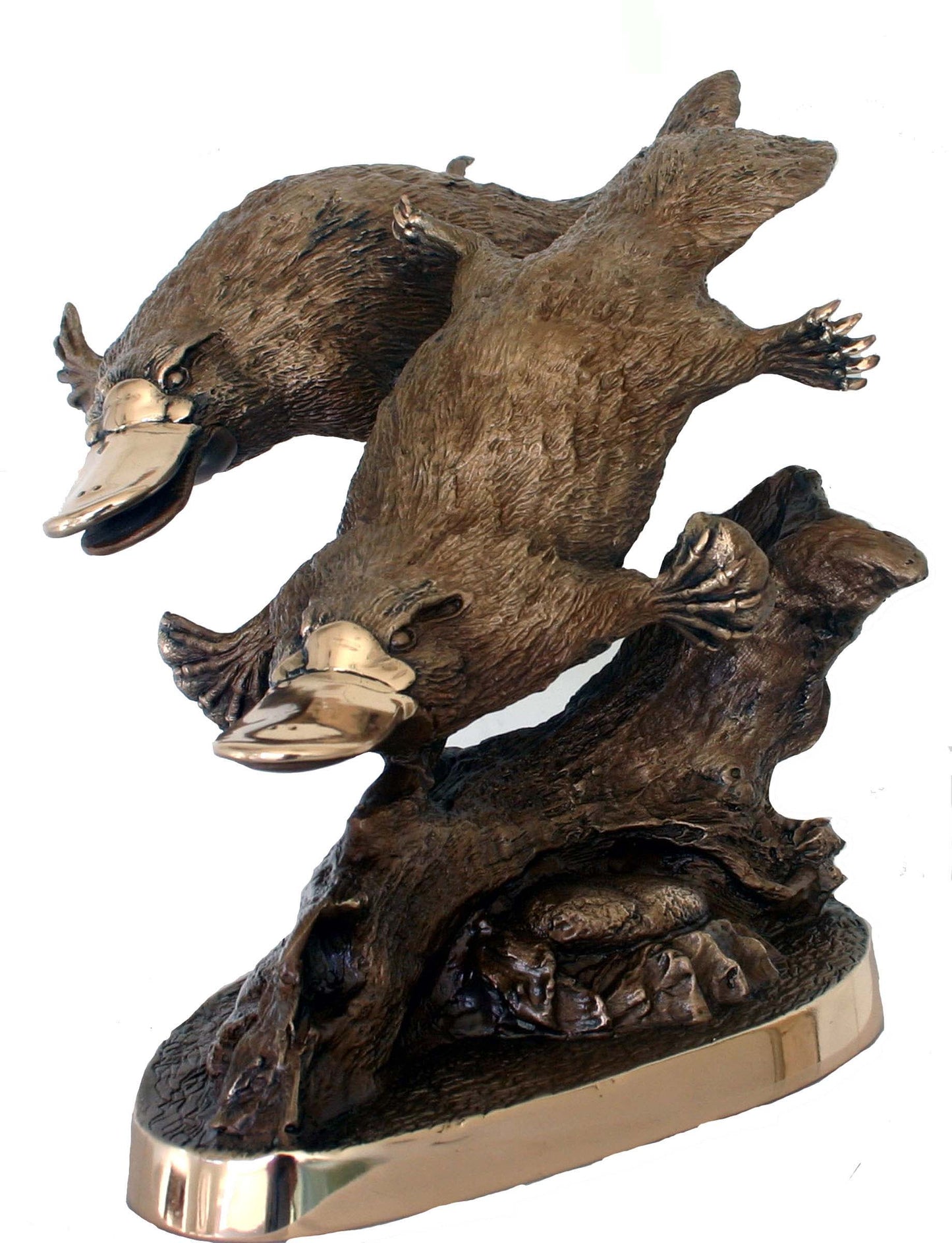 PLATYPUS LIMITED EDITION