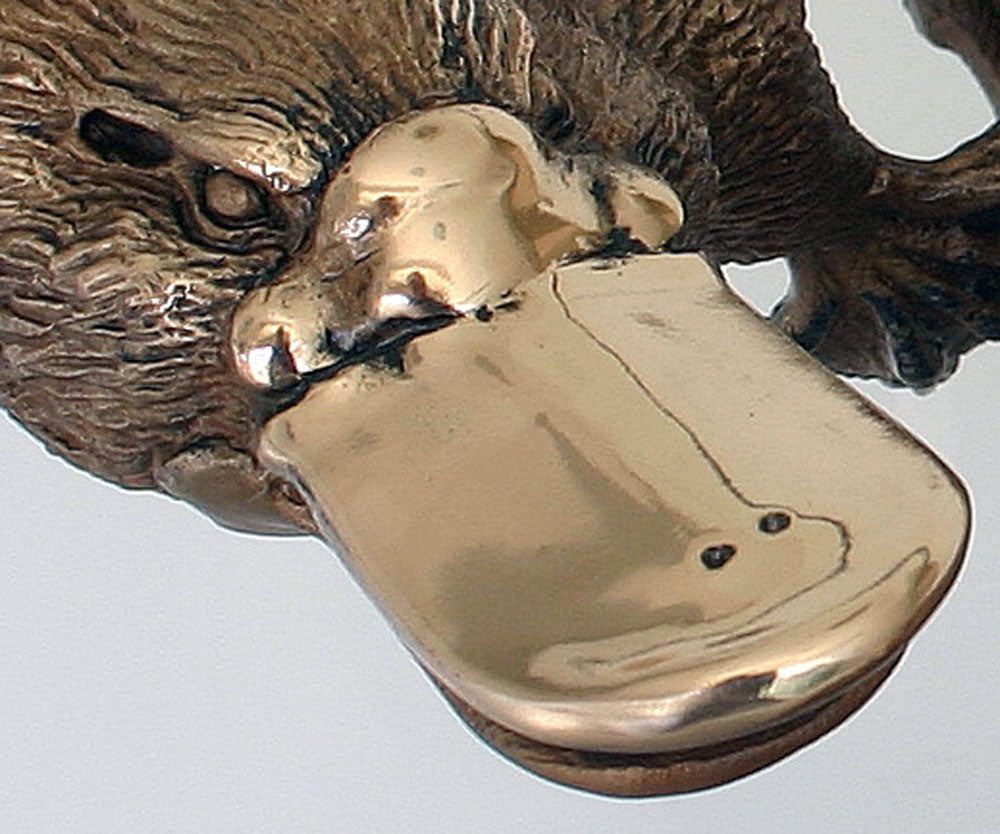 PLATYPUS LIMITED EDITION