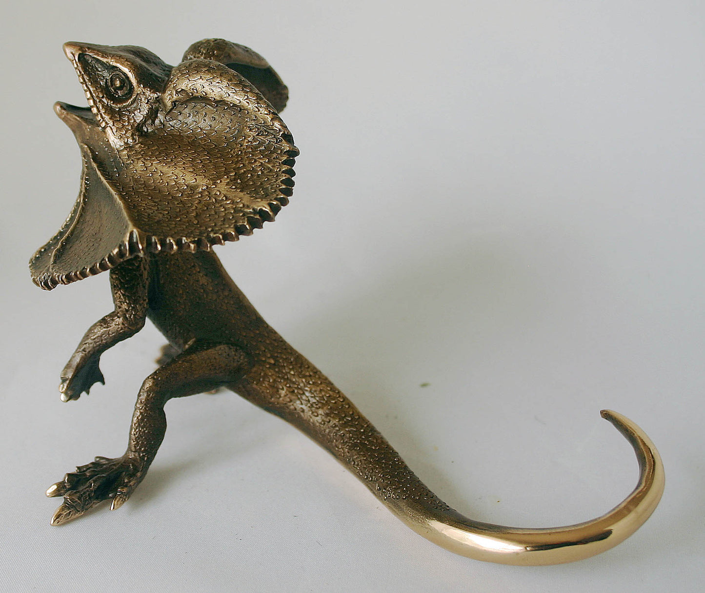 FRILL NECK LIZARD
