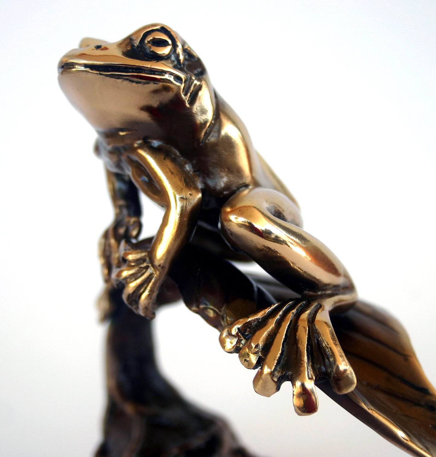 FROG ON LEAF