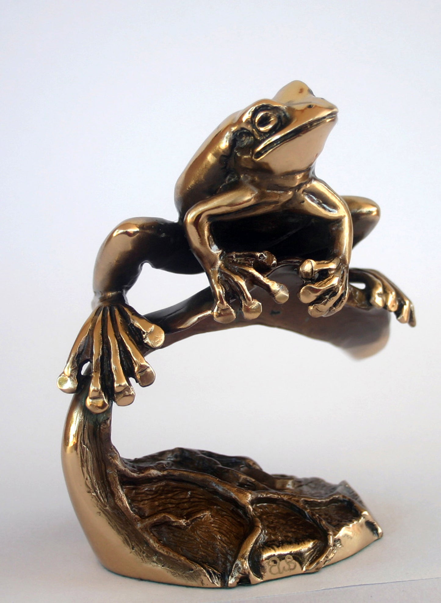 FROG ON LEAF