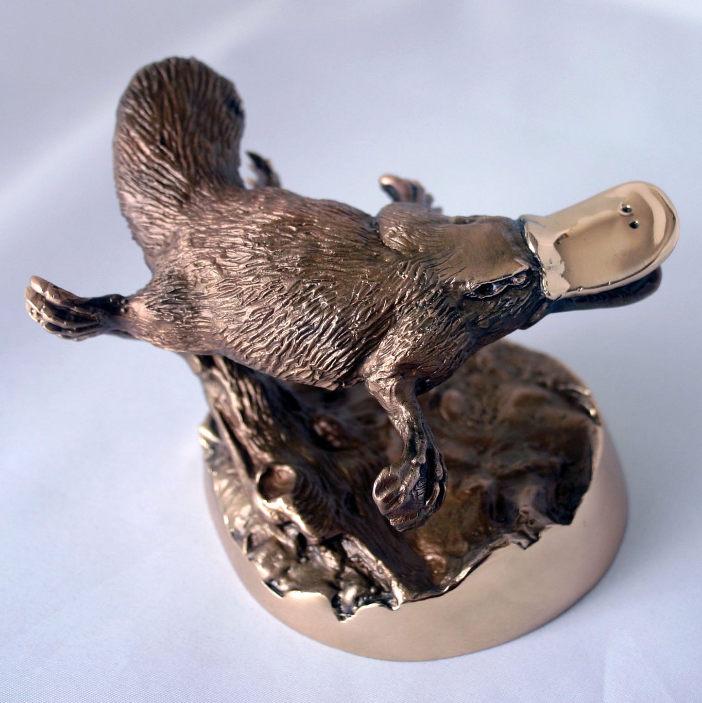 PLATYPUS SWIMMING ON BASE