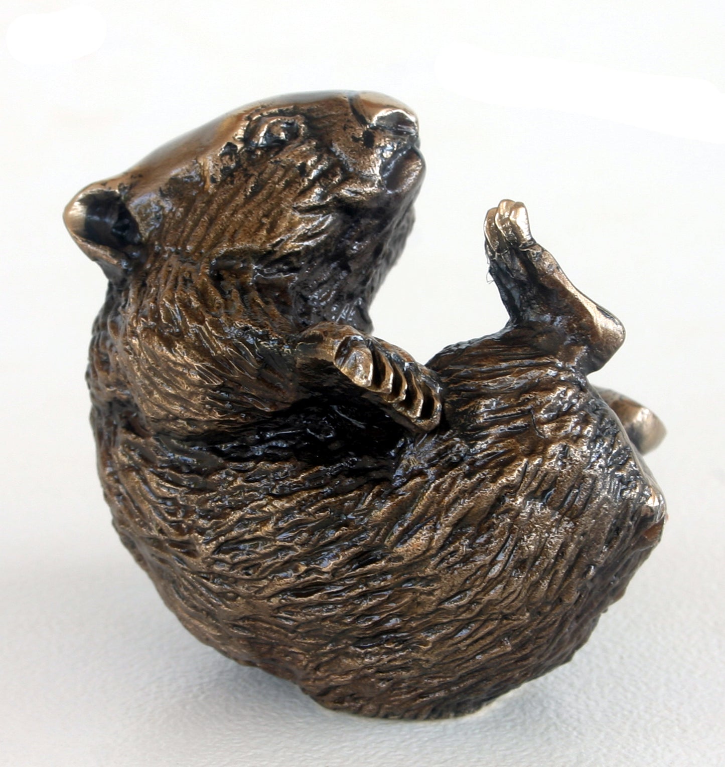 WOMBAT