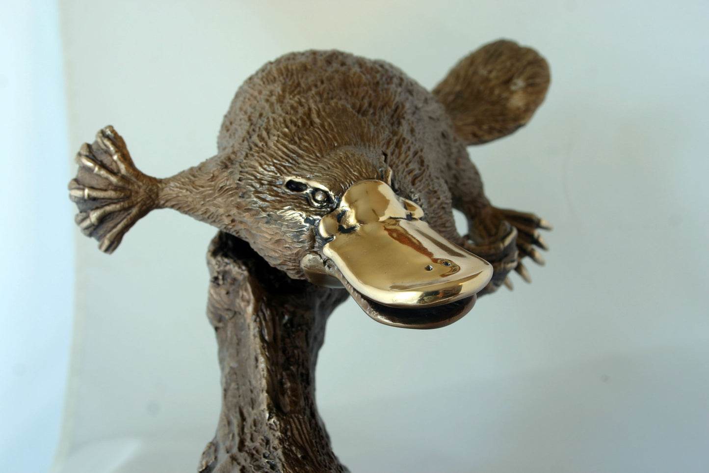 PLATY PUS WITH FROG