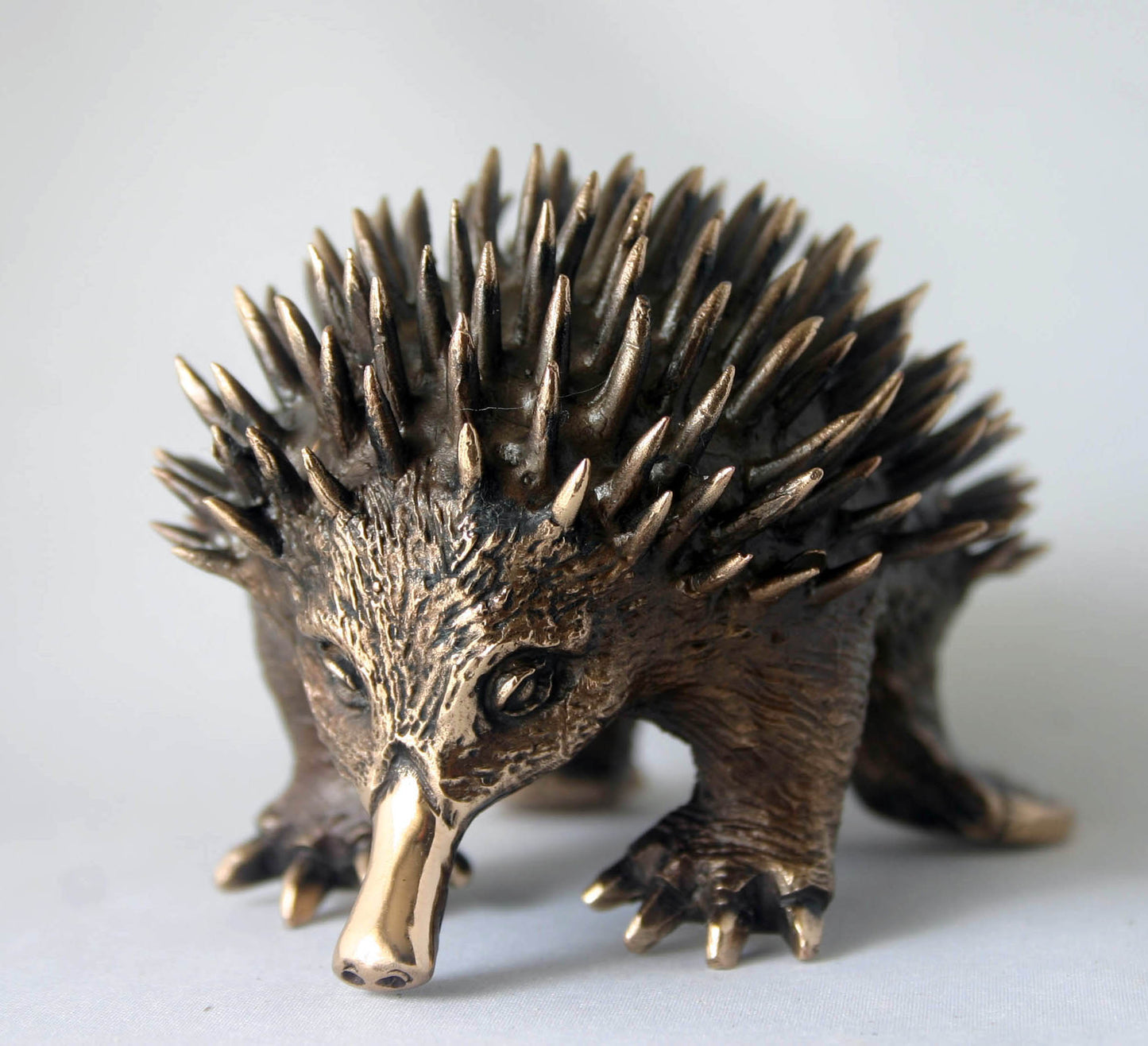 ECHIDNA