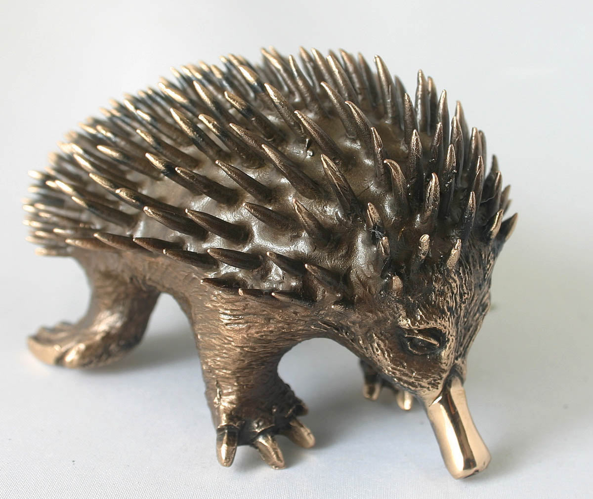 ECHIDNA