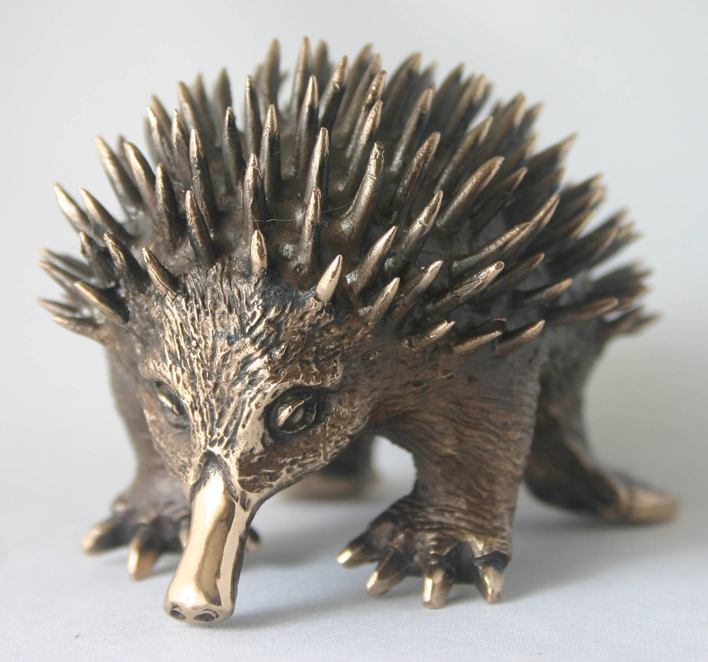 ECHIDNA