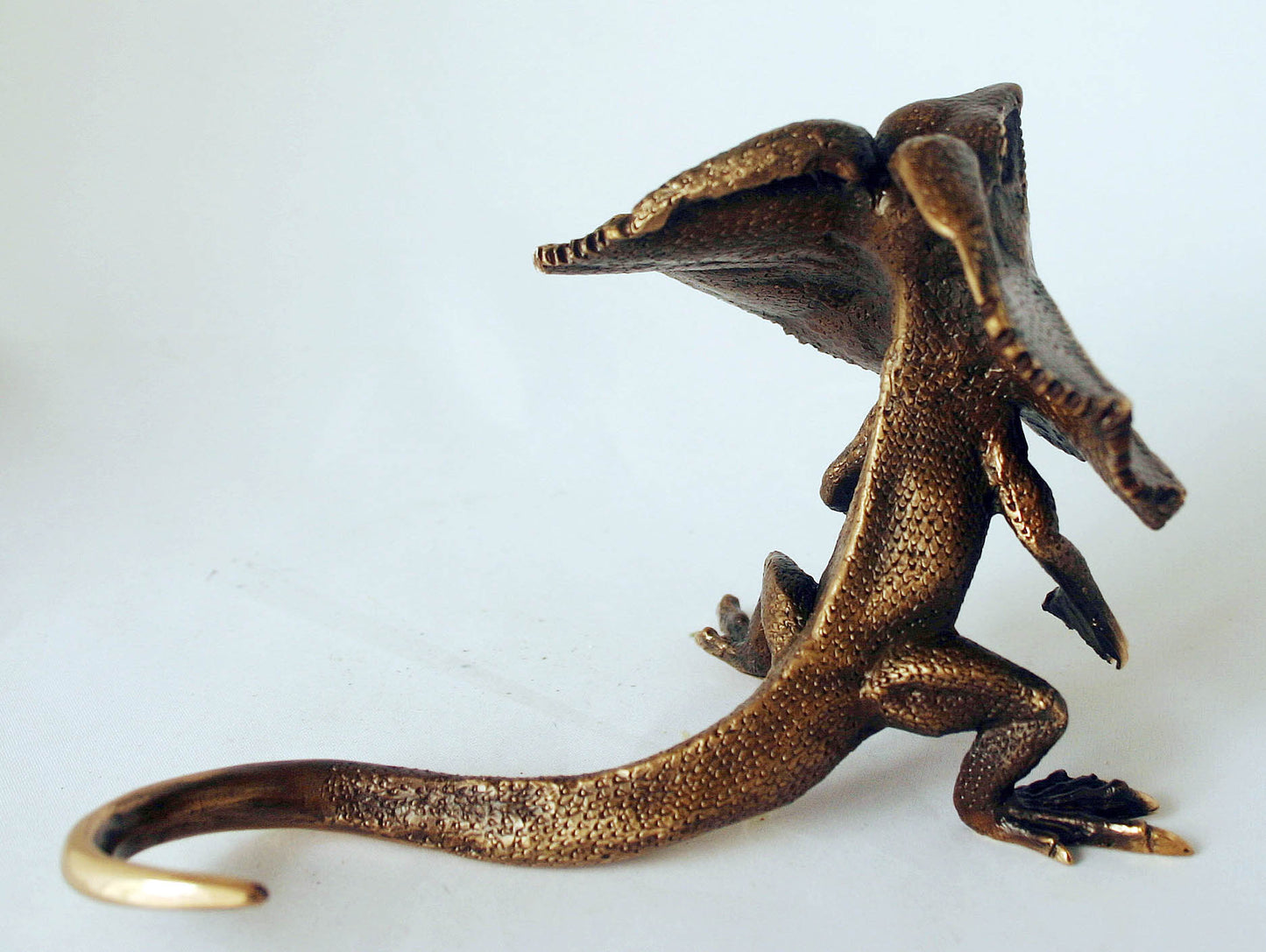 FRILL NECK LIZARD