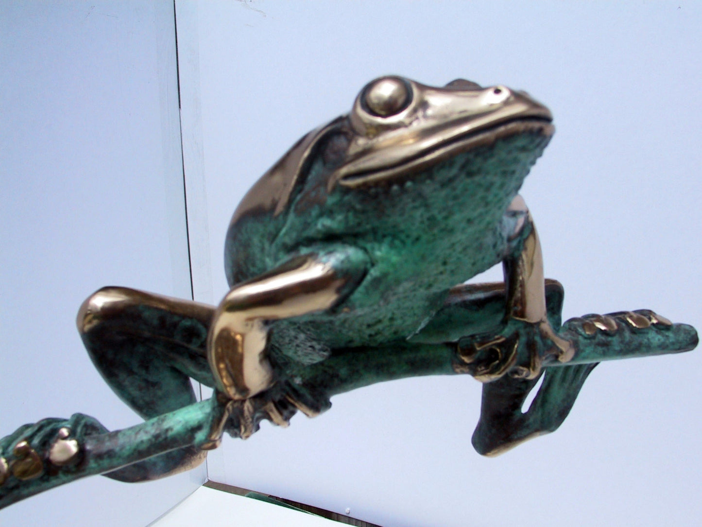 FROG ON STEM