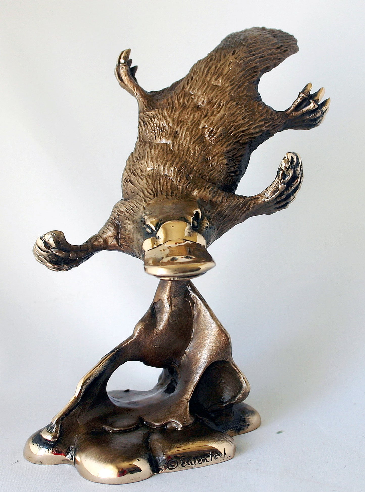 PLATYPUS DIVING ON BASE