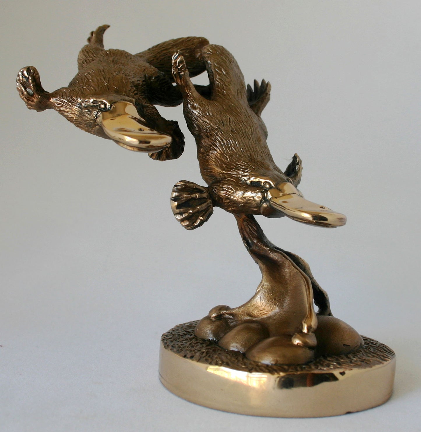 PLATYPUS TWO ON BASE medium