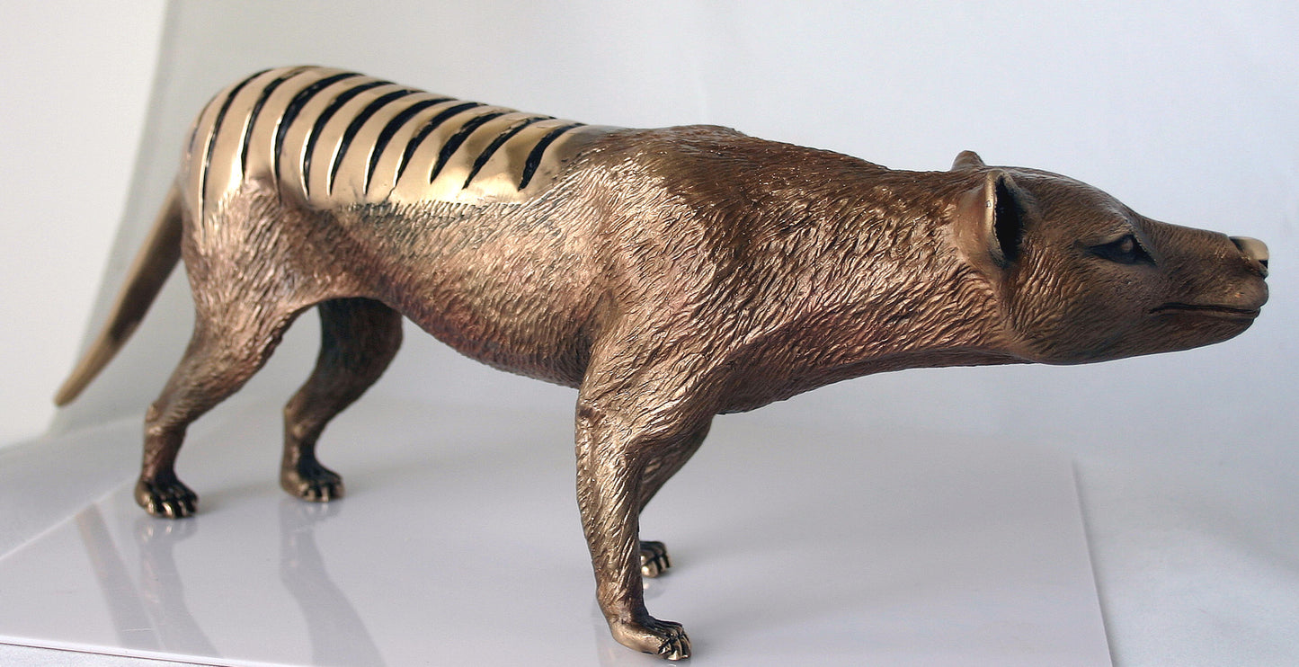 TASMANIAN TIGER LIMITED EDITION