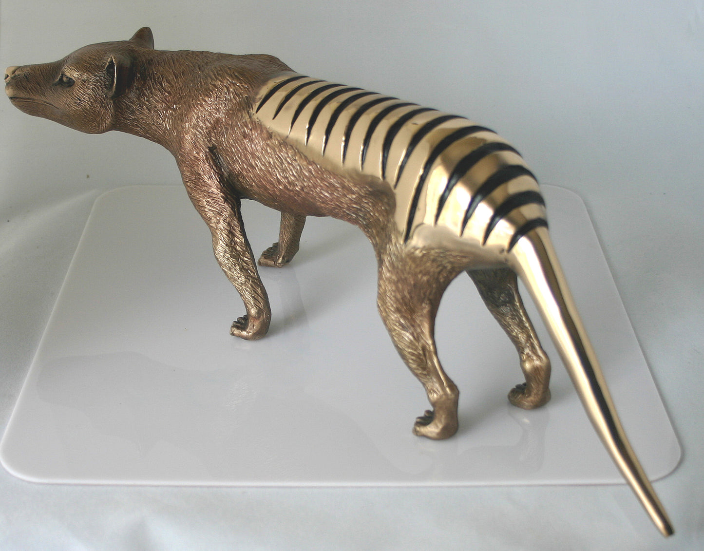 TASMANIAN TIGER LIMITED EDITION