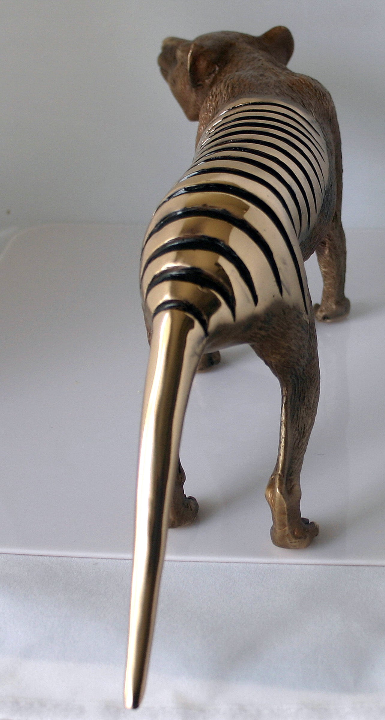 TASMANIAN TIGER LIMITED EDITION