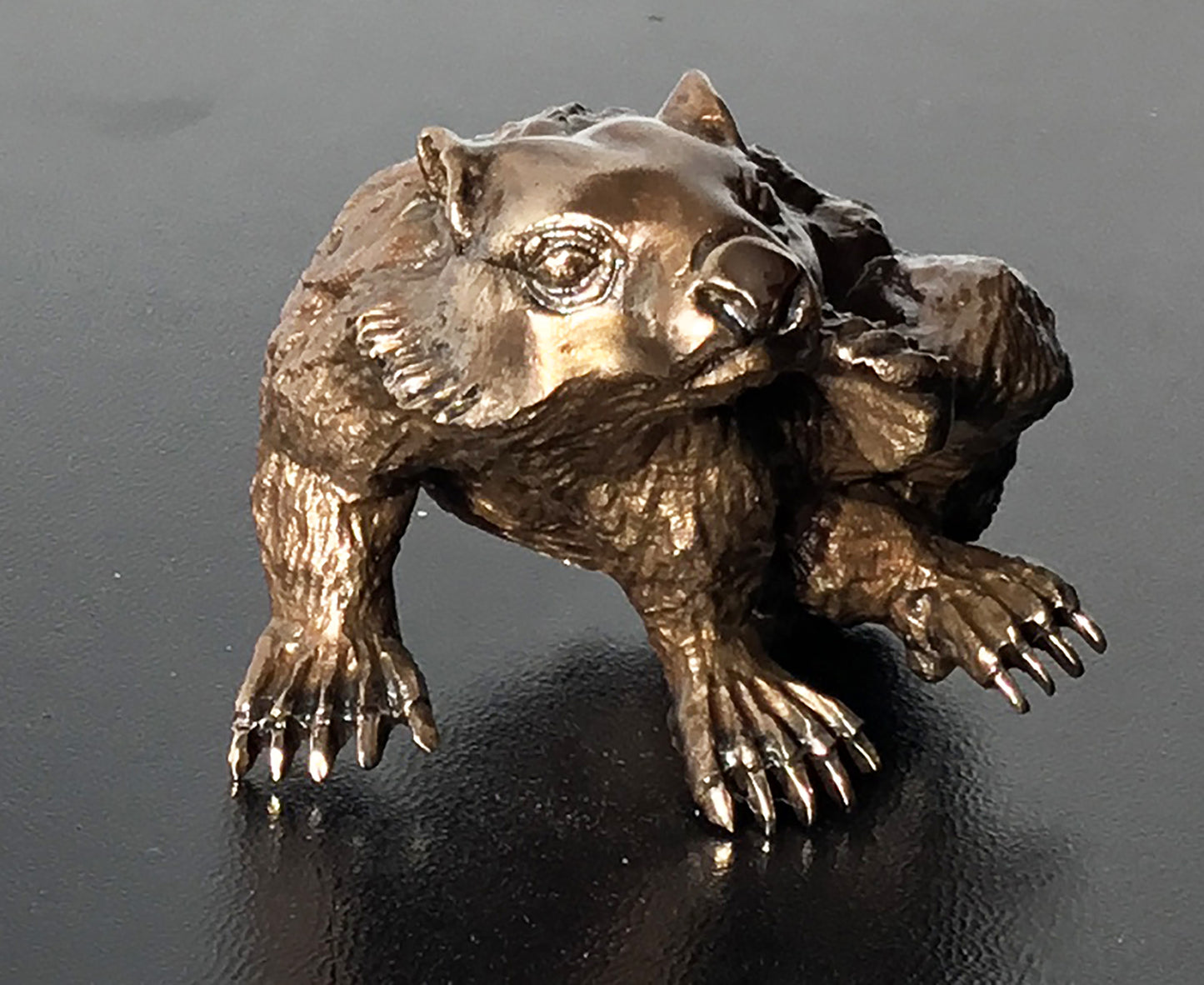 WOMBAT SCRATCHING SMALL